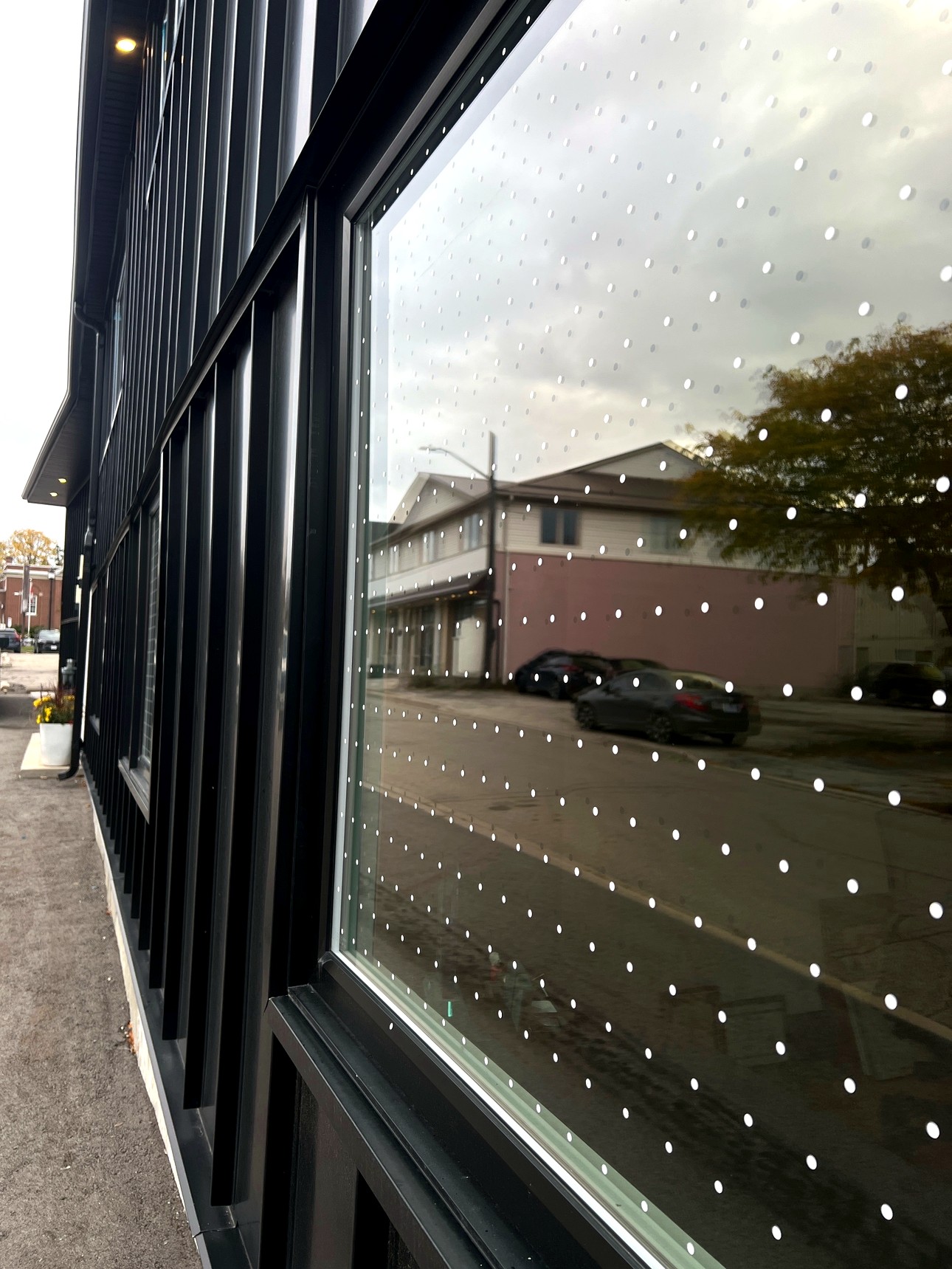 Bird-safe window film