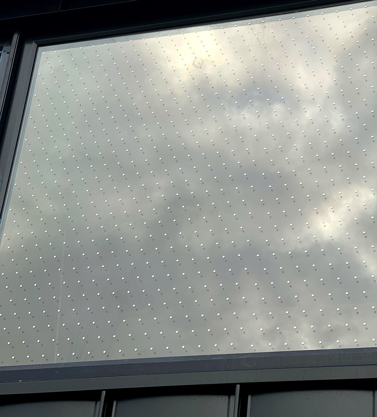 Bird-safe window film