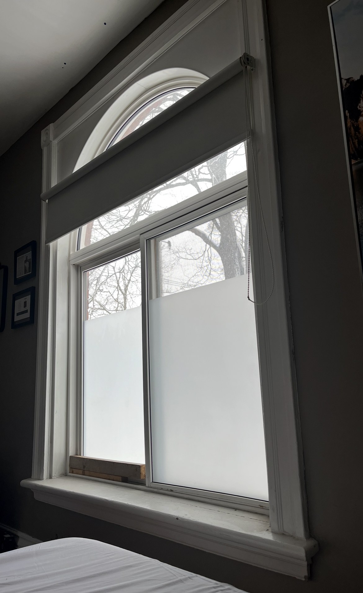 Frosted privacy film